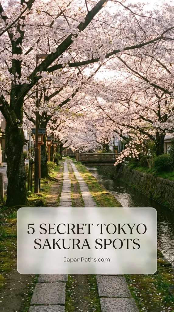 Beautiful pink cherry blossoms hanging over a quiet path, illustrating 5 Secret Tokyo Sakura Spots. Ideal for Japan Travel planning, finding peaceful Hanami locations, and experiencing authentic Japanese culture without the crowds.