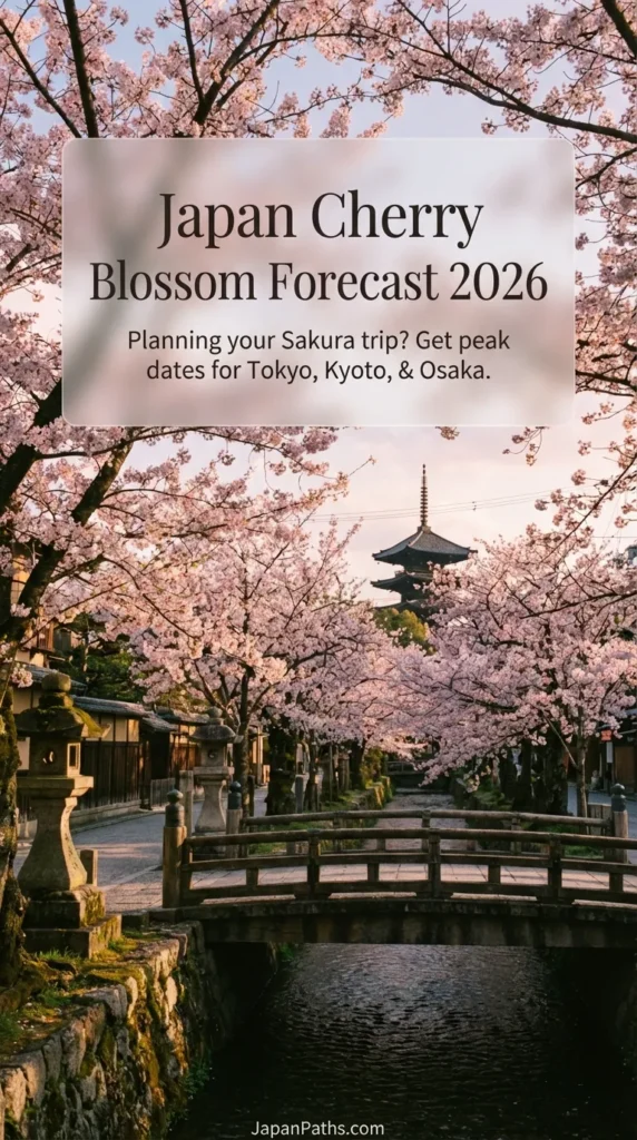 Vibrant pink cherry blossoms framing a traditional Japanese castle against a blue sky. This scene highlights the beauty of spring for travelers checking the Japan Cherry Blossom Forecast 2026. Ideal inspiration for Japan Travel enthusiasts looking for peak bloom dates in Tokyo and Kyoto to experience authentic Japanese Culture.