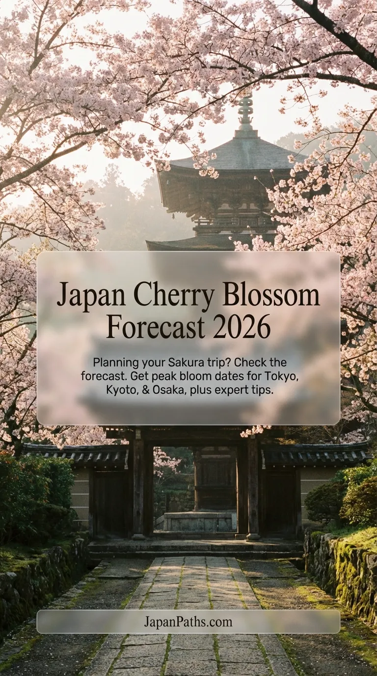 Japan Cherry Blossom Forecast 2026: When & Where to Go for Peak Viewing
